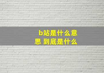 b站是什么意思 到底是什么